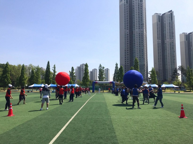 c3a1d1153176808974b5f23854332106_1527401274_7708.jpg